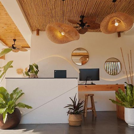 Molly Resort Bohol Taporok Dış mekan fotoğraf